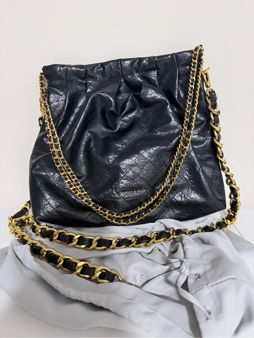 NWT Charles & Keith bag